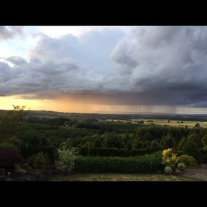 Meet your Posher, Shannon